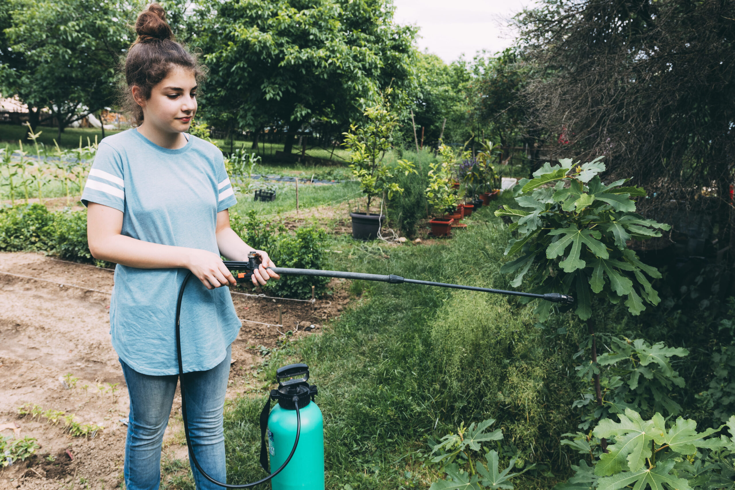 Lawn Irrigation Services