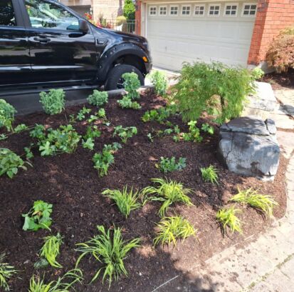 The finished garden planting.