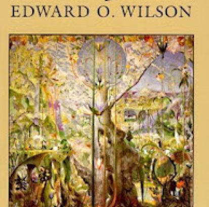 514tAcwVdZL._AC_UF1000,1000_QL80_ (1)