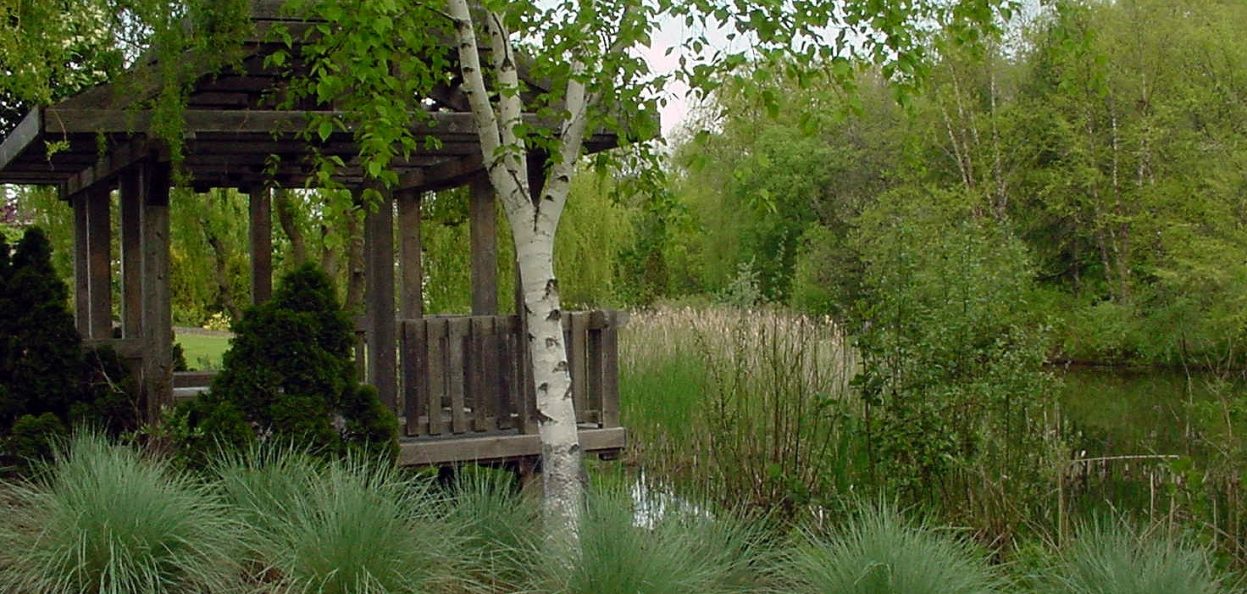 A beautiful specimen.