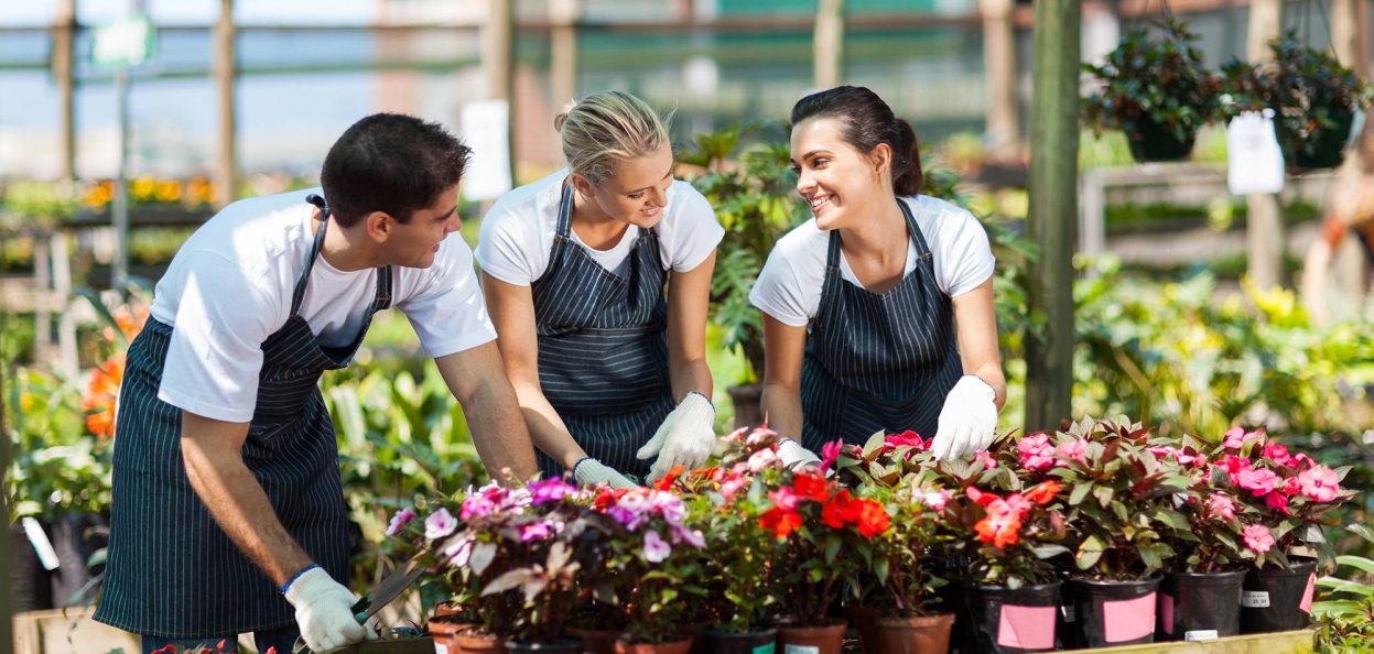 group of garden workers working in nursery