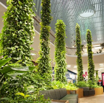 How interior plants improve the indoor experience.