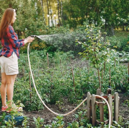 Lawn Irrigation Services