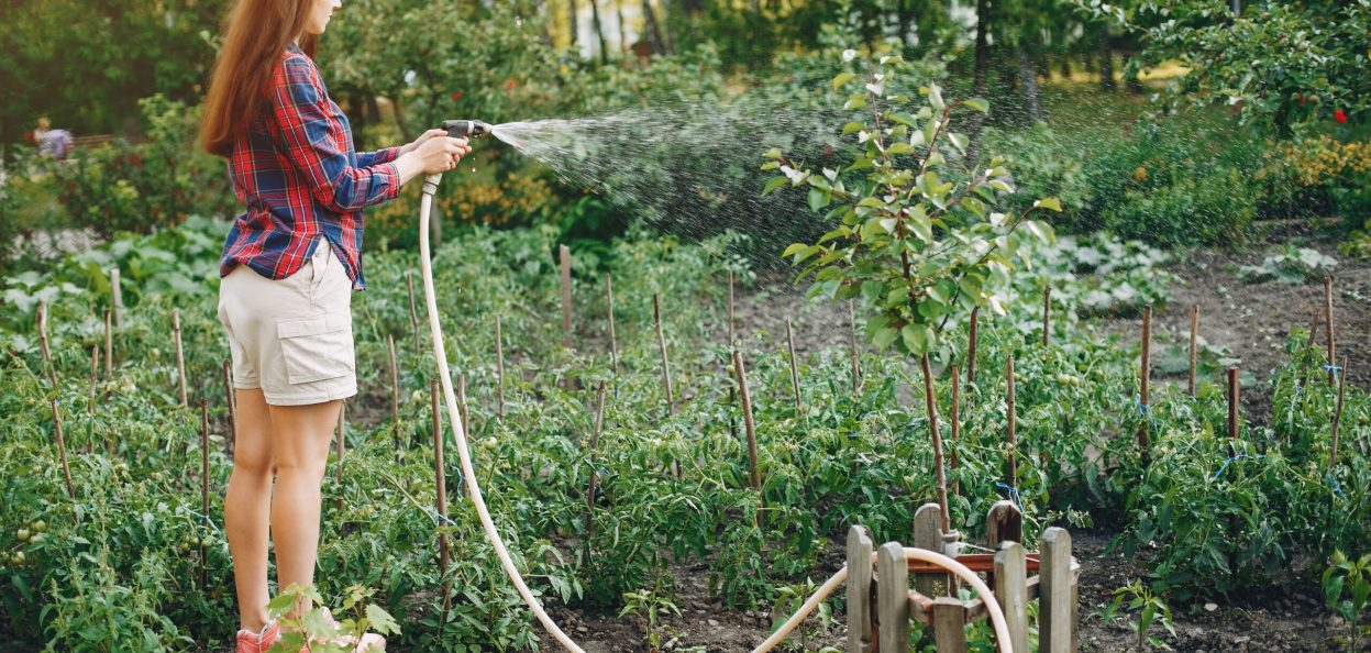 Lawn Irrigation Services