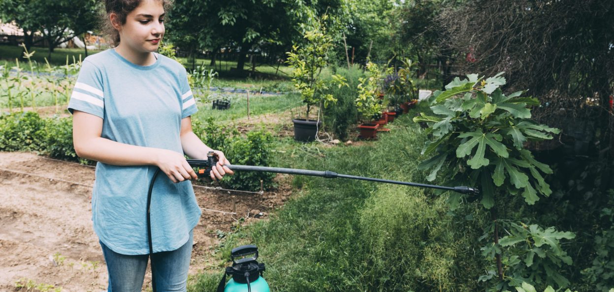 Lawn Irrigation Services