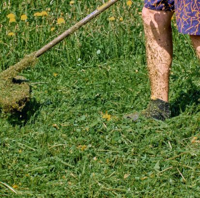 Weed Removal Service