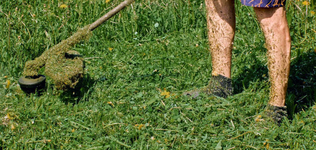 Weed Removal Service