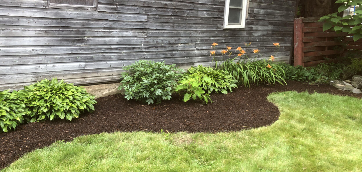 Edged and mulched garden bed.