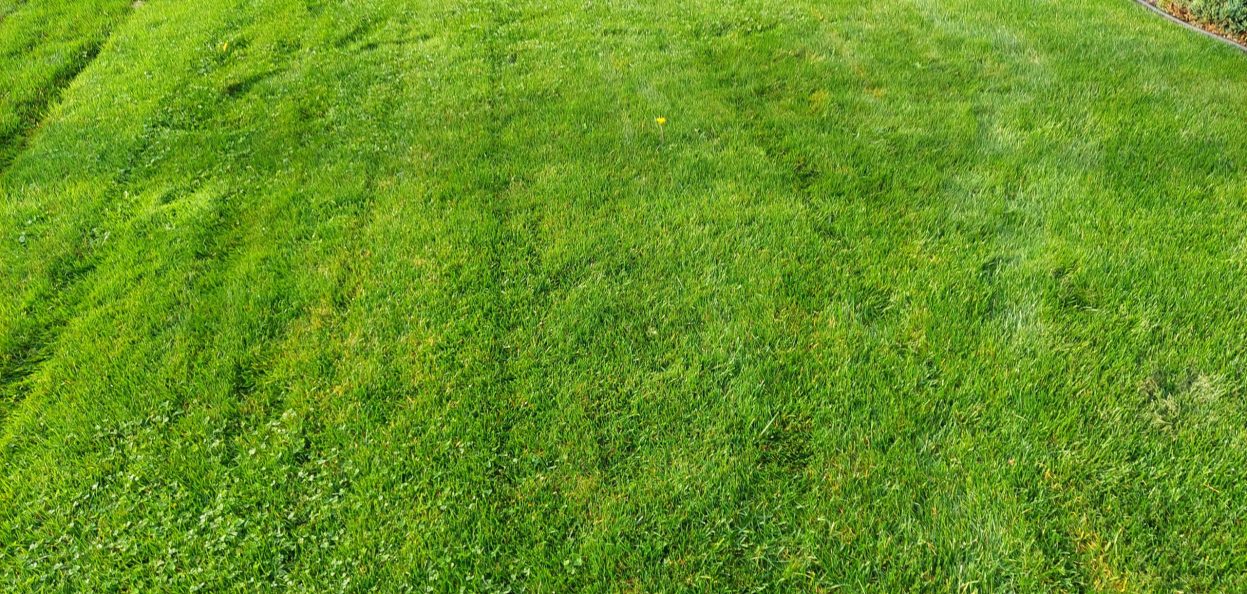 turf moore 20211014_093247