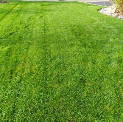 turf moore 20211014_093247